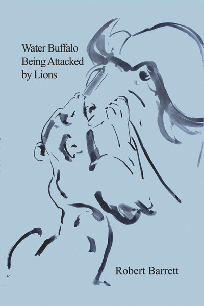 Water Buffalo Being Attacked by Lions