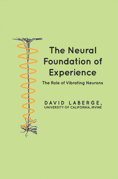 The Neural Foundation of Experience