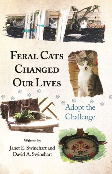 Feral Cats Changed Our Lives: Adopt the Challenge