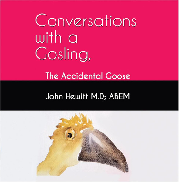 Conversations with a Gosling