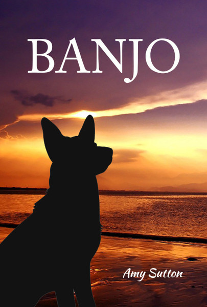 Banjo