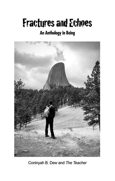 Fractures and Echoes: An Anthology in Being