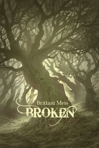 Broken 1