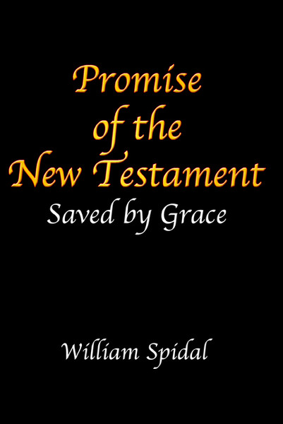 Promise of the New Testament: Saved by Grace