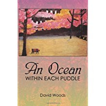 An Ocean within Each Puddle