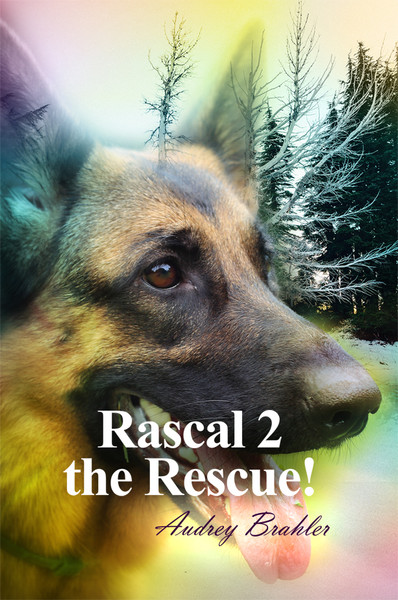 Rascal 2 the Rescue!