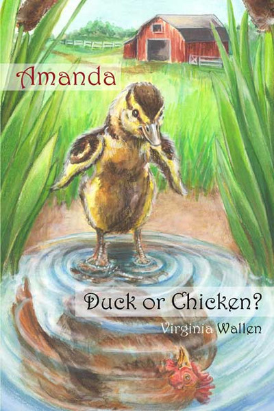Amanda: Duck or Chicken?