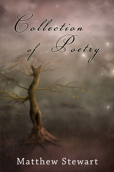 Collection of Poetry (by Matthew Stewart)
