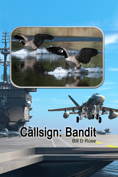Callsign (HB)