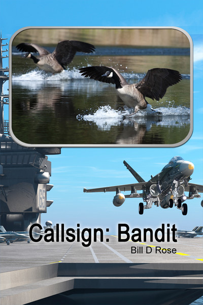 Callsign (PB)