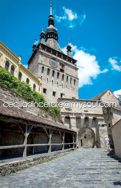 ceciliadincetate@mysoul.com