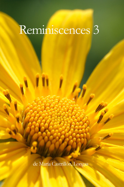 Reminiscences 3 de María Castrillón, Longas