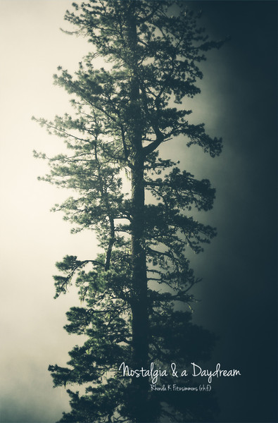 Nostalgia & a Daydream