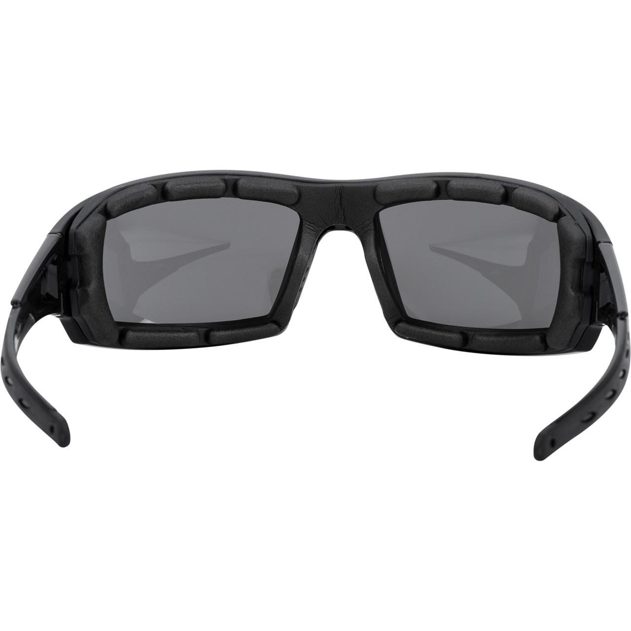 Pitt Hybrid Goggle