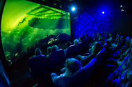 Why We Still Go to the Movies: The Emotion, the Ritual, and the Power Behind the Screen