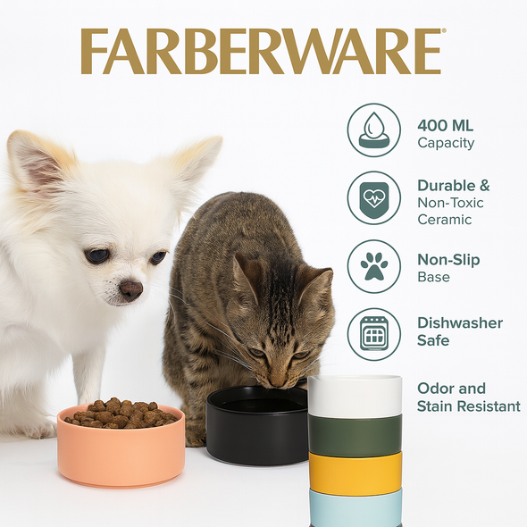 400 ML | ASSTD CLORS | CERAMIC | PET FEEDERS