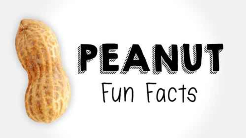 Southern gal gets "Nutty" about peanut facts.