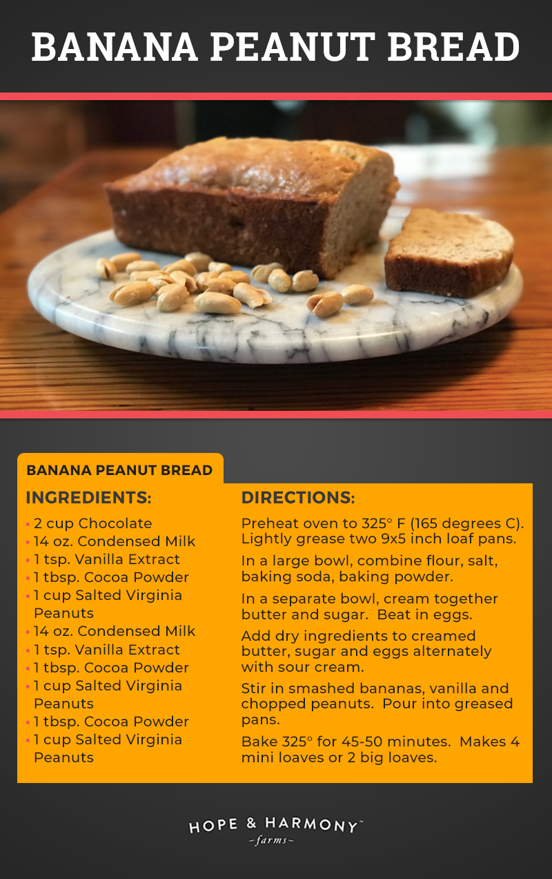 https://cdn11.bigcommerce.com/s-vjtvsmbiri/product_images/uploaded_images/banana-peanut-bread-v2.jpg