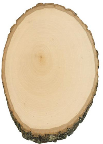 Walnut Hollow Basswood Blank - Round/Oval - Large - 9" to 11"
