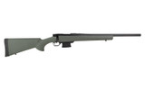 HOWA MINI ACTION 22 ARC 20" 5RD GRN