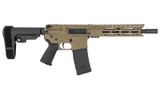 DBF DB15 300BLK 10" 30RD FDE BRACE