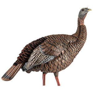 Avian-X HDR Hen Turkey Decoy