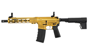 HI-PT HP-15 300BLK 10.5 30RD GLD BRC