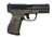 LSI CITADEL CENTURION CP9 9MM