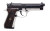 DERYA MELIK 9MM 4.9" 17RD TWO TONE