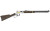 HENRY H4 AMERICAN FARMER 22LR 20"