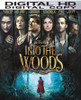 Into The Woods HD Digital Copy Code (Vudu)