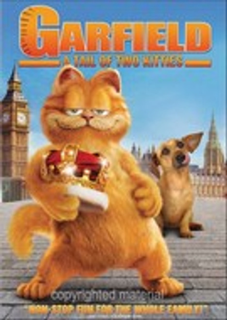 Garfield A Tail Of Two Kitties DVD Movie