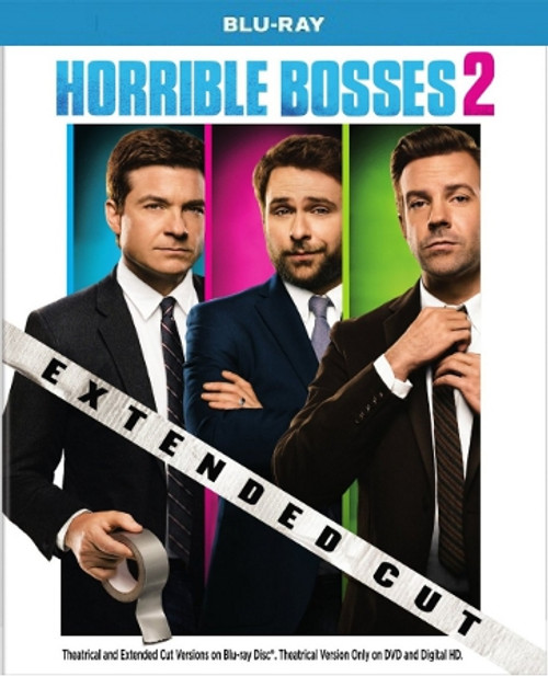 Horrible Bosses 2 Blu-ray Single Disc