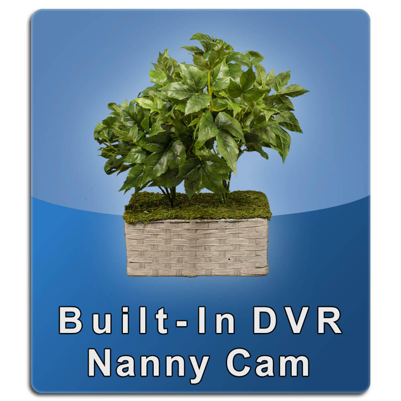 Original NannyCam DVR Silk Plant Nanny Cam