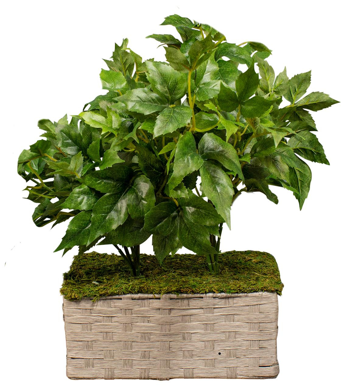 DVR Silk Plant Nanny Cam