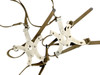 USGI Adjustable Ice Crampons