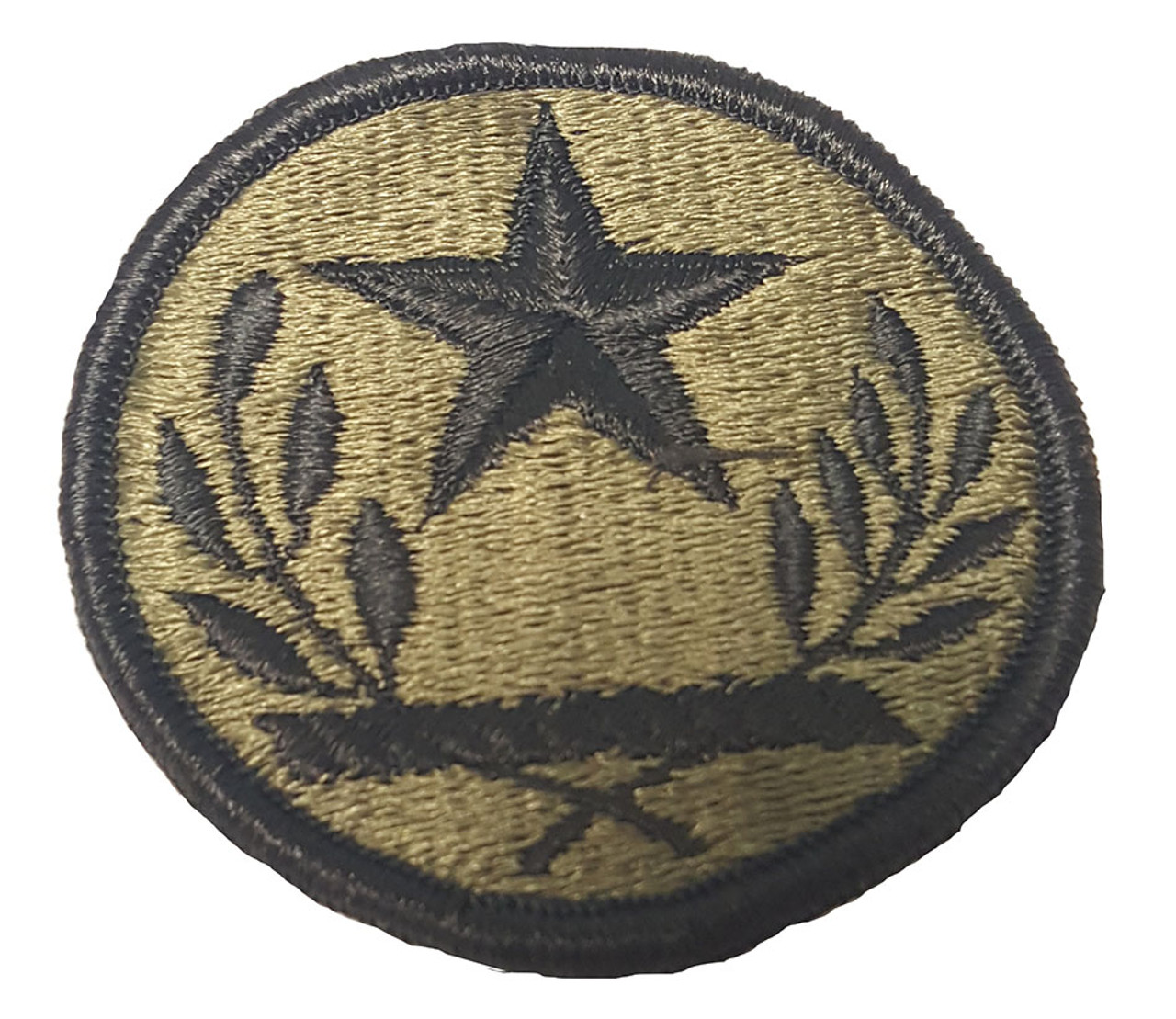 texas national guard patch
