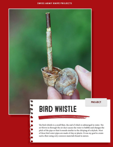 Whittling in The Wild Book