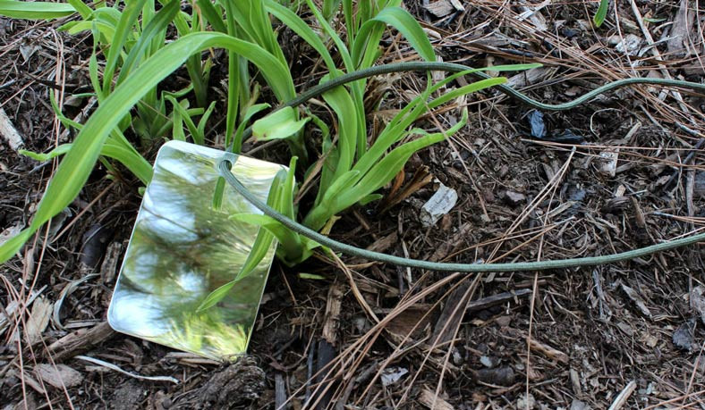 Shatterproof Mirror 3" x 4"