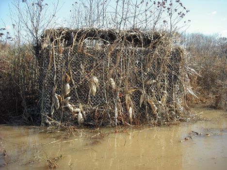 Camo Systems Prairie Grass/ Ultra-lite DD04 19'8" x 7' 3"
