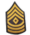 E-8 1SG Male GOLD on GREEN CHEVRONS