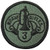 3rd ACR (Armored Cavalry Regiment)  Subdued OD Patch