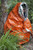 Heavy-Duty Emergency Aluminized Blanket – Orange (83" x 51")