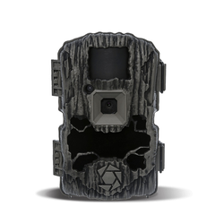 Trail Cameras & Accessories