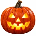 Halloween Costume Pieces