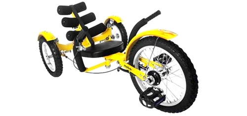 Mobo Kids Mobito Tricycle 3 Wheel Child Cruiser Bike