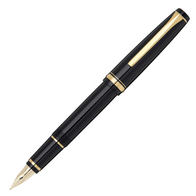 PILOT 14K 万年筆 WARRANTED 2 MADE IN JAPAN PILOT 14K 万年筆