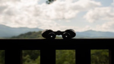 BaK 4 Prisms Explained