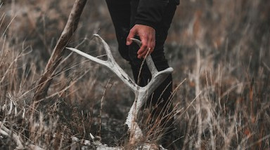 Navigating Sports and Outfitter Shows: Your Ultimate Guide Navigating Sports and Outfitter Shows: Your Ultimate Guide