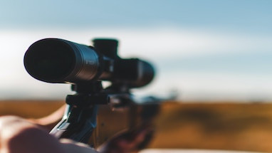 ​Riflescope vs. Red Dot Sight: Unpacking the Benefits of Precision